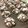 marissa's cooksnap of when they made easy chocolate cookies.
