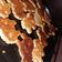 El cooksnap de lujisosa_1 cuando hizo Scones de Queso 🧀.
