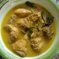 Cooksnap dari Ineke Carolina Rachel untuk resep Opor ayam simple