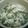 Cooksnap dari dita untuk resep Bobor bayam daging sapi