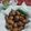renu bhasin 's cooksnap of when they made Moong dal Pakoda.