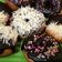 Cooksnap dari Ary Chodijayanti untuk resep Donat empuk ala jco tanpa kentang