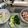 รูป Cooksnap ของ Sira Leepipattanawit เมื่อเขาทำ ต้มข่าไก่