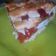El cooksnap de jimena cuando hizo Pasta frola SIN MANTECA.. riquísima ♡♡.