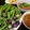 รูป Cooksnap ของ piya peipei เมื่อเขาทำ น้ำพริกกะปิ