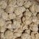 Cooksnap dari Yanik untuk resep Bolu Kukus Pisang Mekar