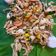 Cooksnap Norqursiah Saad semasa beliau membuat Shellout Salted Eggs Crab.