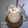 Cooksnap dari Lailazegaff untuk resep Vanilla Oreo Ice Cream
