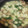 El cooksnap de Rutifrutty cuando hizo Ñoquis con espinacas y champiñones.
