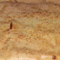 El cooksnap de Fernando González cuando hizo Masa torta de fiambre licuada.
