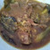 Cooksnap dari Linda Trisnayani untuk resep Lapis daging sapi