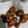 Nosheen Nadeem's cooksnap of when they made Crispy tandoori chicken drumsticks.