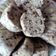 Cooksnap dari 💞Wiwik Dina💞 untuk resep Bolu Pisang Kukus simple & Ekonomis Bunda ecy