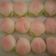 Cooksnap dari Damaris Damayanti untuk resep Bakpao buah persik (metode autolisis)