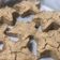 El cooksnap de Nëko 27 cuando hizo Galletas de mantequilla con harina de avena.
