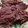 lori.careyfrisbie's cooksnap of when they made Corned beef and cabbage.