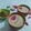 Bhavna C. Desai's cooksnap of when they made ઈન્સટન્ટ કેસર ઠંડાઈ વીથ ઠંડાઈ મસાલા (Instant Kesar Thandai With Thandai Masala Recipe In Gujarati).