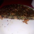 El cooksnap de Lourdes cuando hizo Tortilla de hojas de remolacha.