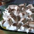 El cooksnap de Alvaro Berrueta cuando hizo Arroz con leche en polvo y merengues.