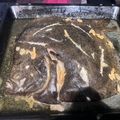 El cooksnap de Nuria Delgado cuando hizo Rodaballo al horno (tres vuelcos).
