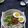 Cooksnap dari reno.barlian untuk resep Chicken Congee (Rice Porridge)