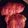 elovenov97's cooksnap of when they made Honey chicken wrapped in bacon.