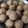 Rachna Bhandge का कुकस्नैप जब उन्होंने बाजरा आटा के लड्डू(bajra atta ke laddu recipe in Hindi) बनाया था।