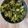 Vanika Agrawal's cooksnap of when they made sig's Saag Aloo (spinach and potatoes).