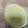 El cooksnap de celia.esn cuando hizo Crema de champiñones con Thermomix fácil y sabrosa.