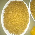 Ummu Bello's cooksnap of when they made Peanut Burger.
