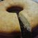 El cooksnap de Antonella Martinez cuando hizo Budín de limón y vainilla.