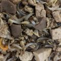 Cooksnap dari Lili untuk resep Tumis tauge tahu bakso saos teriyaki