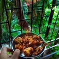 Manisha Satish Dubal 's cooksnap of when they made कुरकुरीत कांदा भजी.