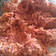 El cooksnap de Cintia Miralles cuando hizo Ensalada Americana Coleslaw.
