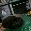 Cooksnap dari Efendi Jvc untuk resep Brownis Oreo Nyoklat