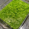 Cooksnap dari shy_kitchen untuk resep Puding lumut mentega
