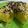 Cooksnap dari ReskaGhaisani untuk resep Bolu Kukus Jagung