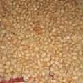 Cooksnap dari Bunda Fai untuk resep Kacang bawang empuk, renyah n enak mudah buatnya