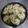 minmo2✳️2's cooksnap of when they made キャベツたっぷり！薔薇餃子.