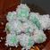 Cooksnap dari Tami Sri Aryanti untuk resep Klepon simpel takaran sendok😍