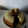 El cooksnap de carmenmontelongo58 cuando hizo Torta de vainilla y chocolate al ron.