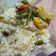Cooksnap dari Khairiah untuk resep Sayur Lodeh