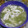 El cooksnap de Natalia Altonaga cuando hizo Calamares a la provenzal.