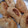 El cooksnap de Sandra cuando hizo Empanadas de choclo con salsa blanca, cebolla caramelizada y queso.