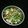 Amma's Confectionery's cooksnap of when they made Lettuce salad 🥬.