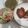 Cooksnap dari Helen lauw untuk resep Salad crabstick, daun ketumbar dan tomat ceri