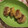 Cooksnap dari Yuliasari Komara untuk resep Kue Keranjang Goreng Kriuk