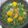 Cooksnap dari dessi Rahmawati untuk resep Sayur bayam bening