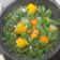 Cooksnap dari dessi Rahmawati untuk resep Sayur bayam bening