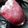 Chef zahra's cooksnap of when they made Zobo.